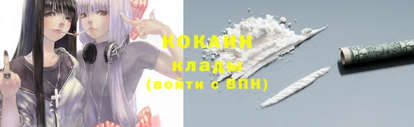 соль ск Лиски