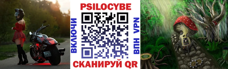 кракен как войти купить наркотик Воронеж Галлюциногенные грибы MAGIC MUSHROOMS