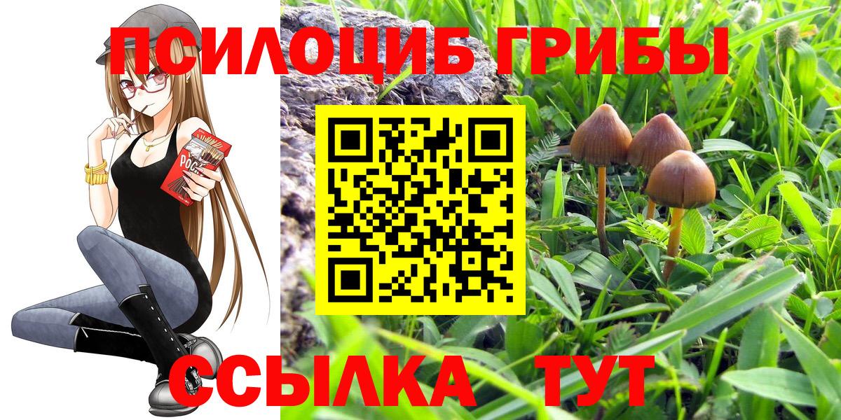 Псилоцибиновые грибы ЛСД  купить закладку  Воронеж  Псилоцибиновые грибы Magic Shrooms  Вход с VPN 